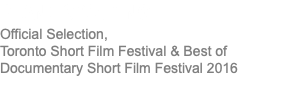 PLANE SPOTTING Official Selection, Toronto Short Film Festival & Best of Documentary Short Film Festival 2016